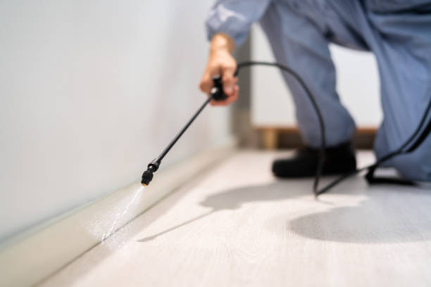 Rodent Entry Point Assessment in Dell Rapids