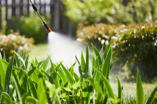 Tamper-Resistant Bait Stations for Rodents in Dell Rapids