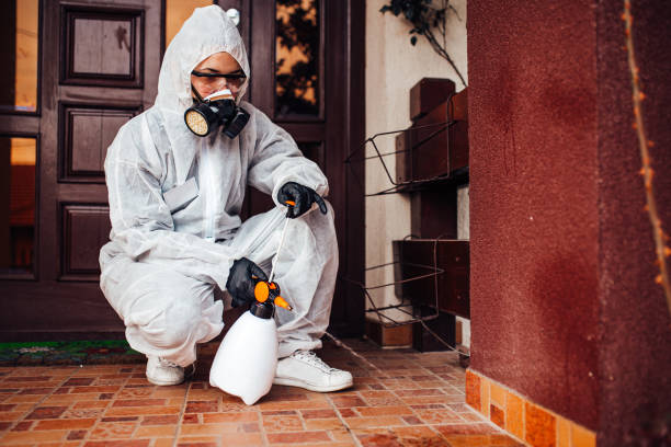 Attic and Crawl Space Rodent Treatment in Dell Rapids