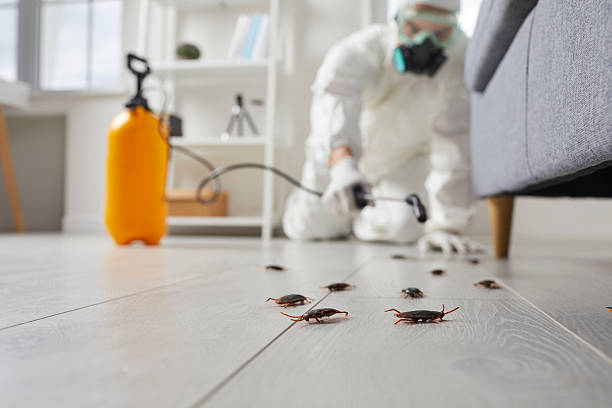 Commercial Rodent Management in Dell Rapids